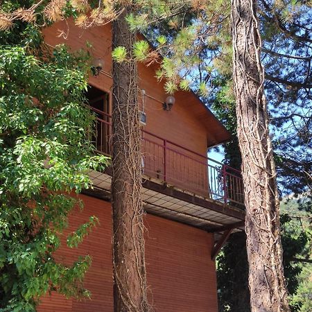 Hotel Toni Llogora Dukat 외부 사진
