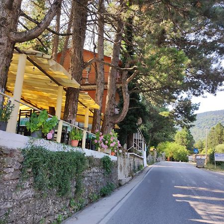 Hotel Toni Llogora Dukat 외부 사진