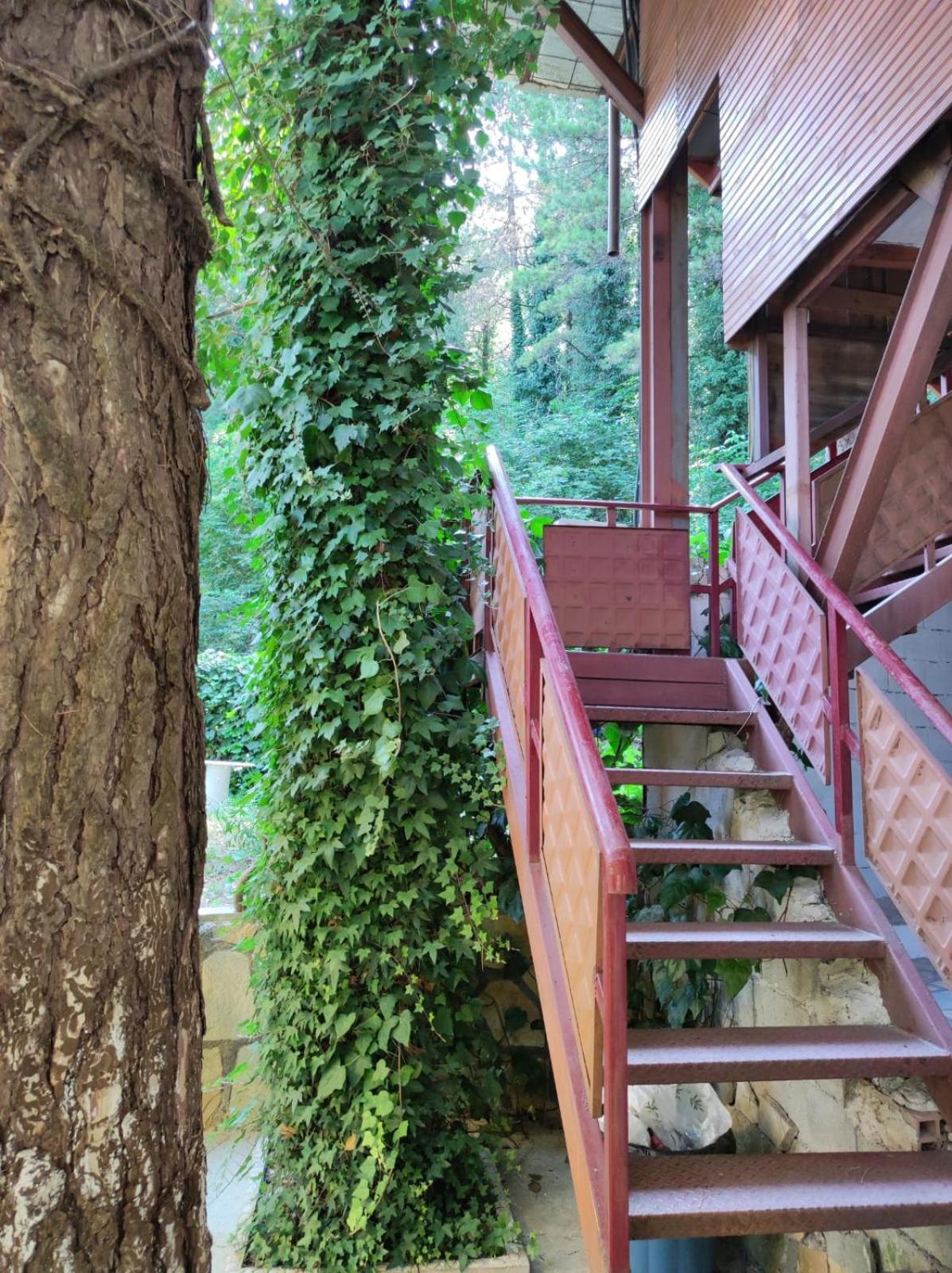 Hotel Toni Llogora Dukat 외부 사진