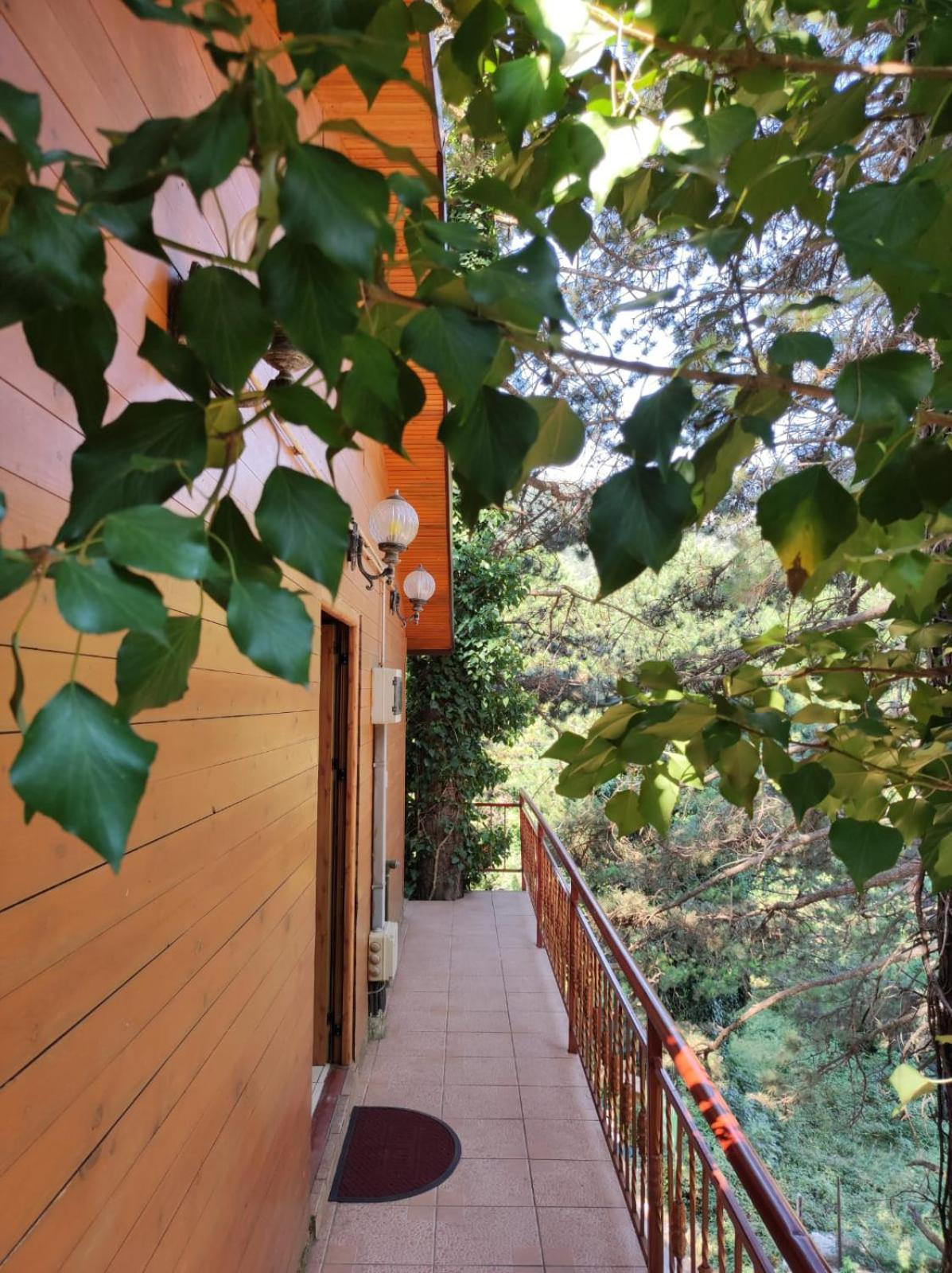 Hotel Toni Llogora Dukat 외부 사진